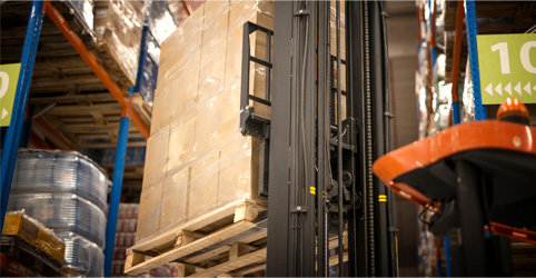 Pallet Forklift